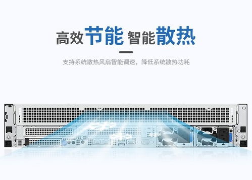 浪潮CS5260H2服務(wù)器 搭載海光5380處理器，高性能存儲配置，網(wǎng)絡(luò)技術(shù)服務(wù)方案解析